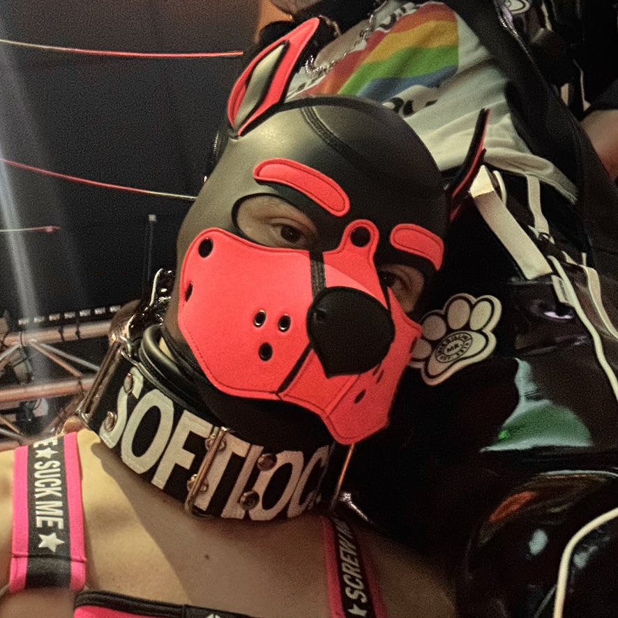 Pup Softlock profile picture: a person in a black and pink neoprene puppy hood and a thick leather collar with white lettering 'SOFTLOCK'. Pink harness straps are visible over the shoulders